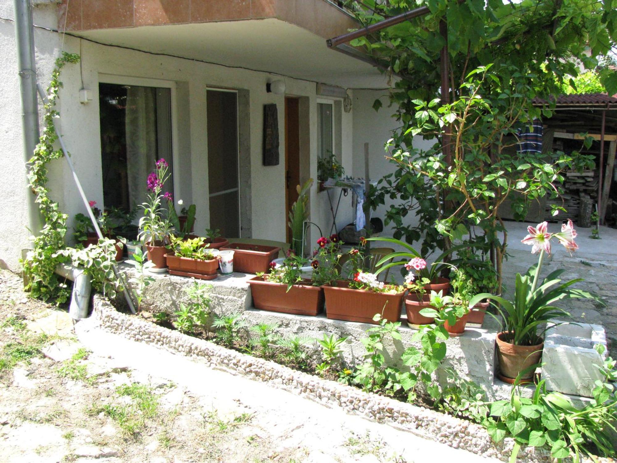 Guest House Familia Samovodene Dış mekan fotoğraf